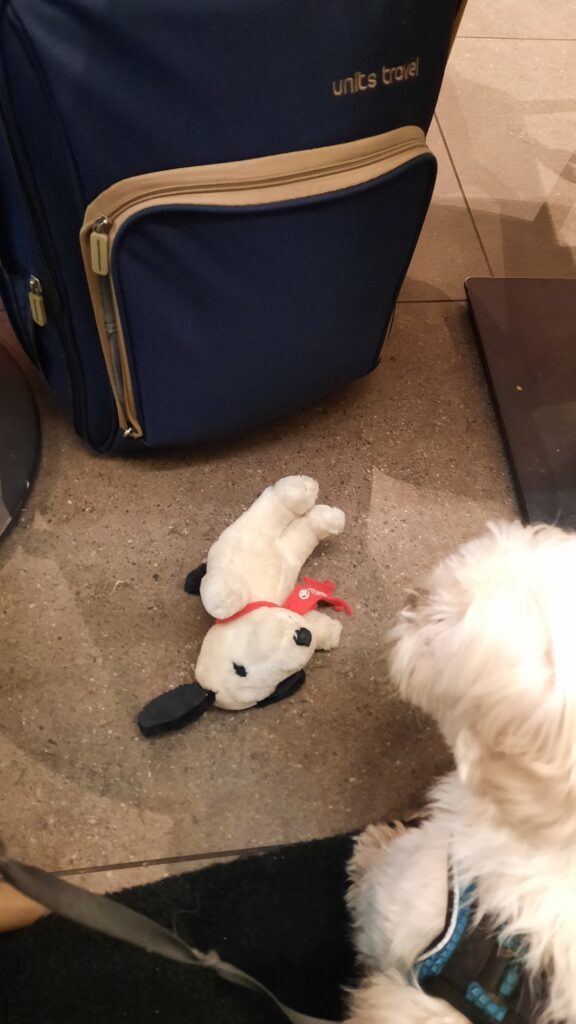 The mat from the bag comes out so Sofus the dog can rest on it in train stations and in the train.
