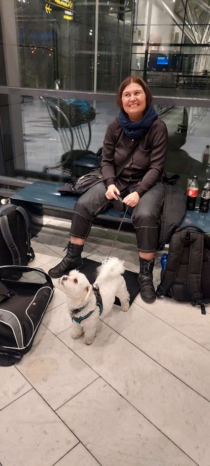 Sofus the dog in his harness beside a Trixie cabin carrier in the airport terminal.