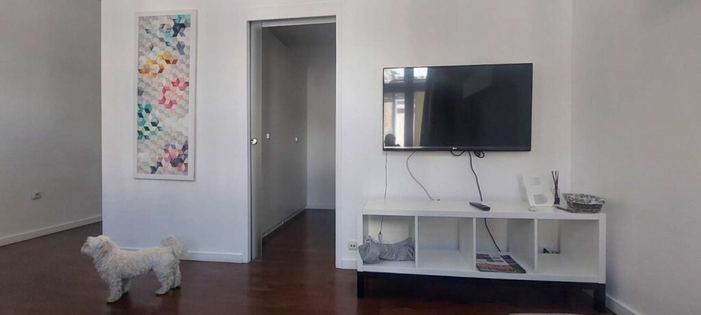 a small white dog is standing in an apartment