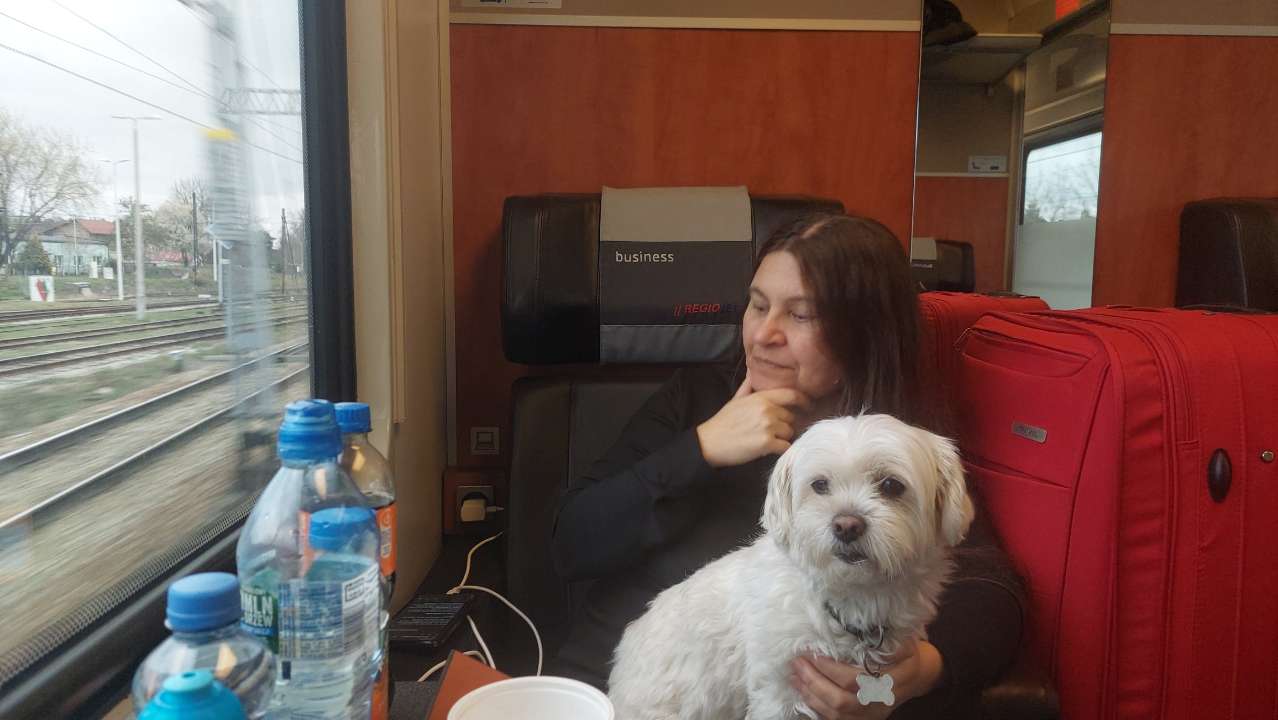 Dog on Polish Trains: RegioJet vs PKP Intercity
