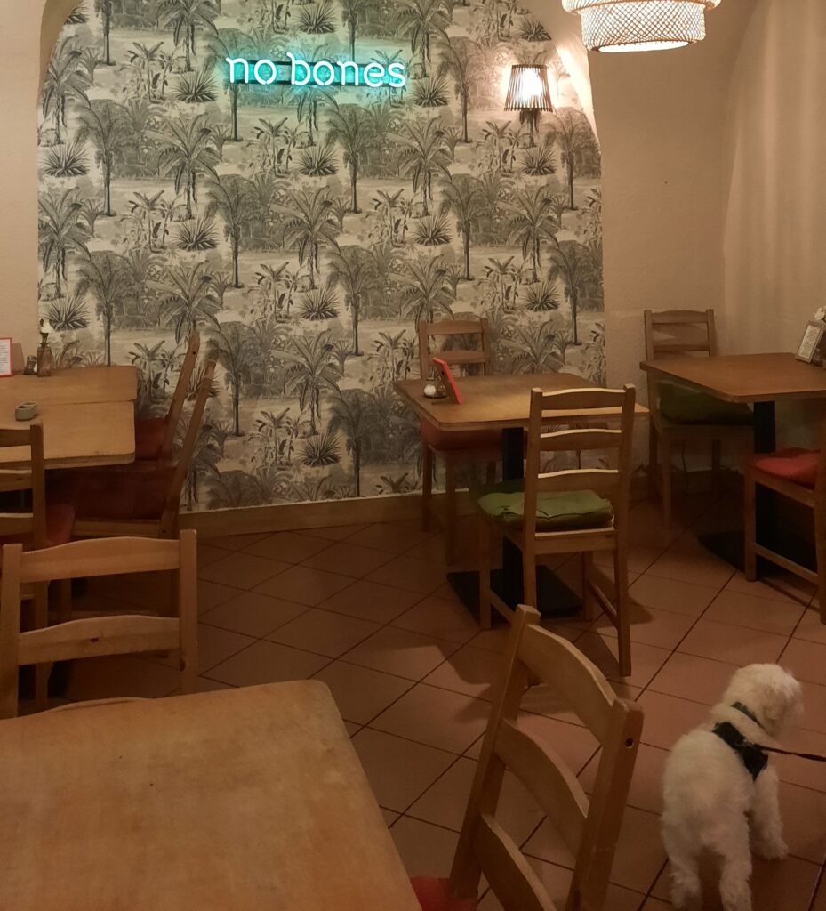 Sofus the dog is standing inside the restaurant No Bones in Krakow.