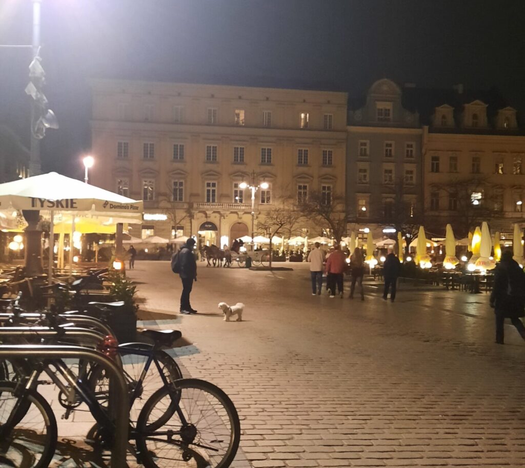 dog walk in krakow old town square at night